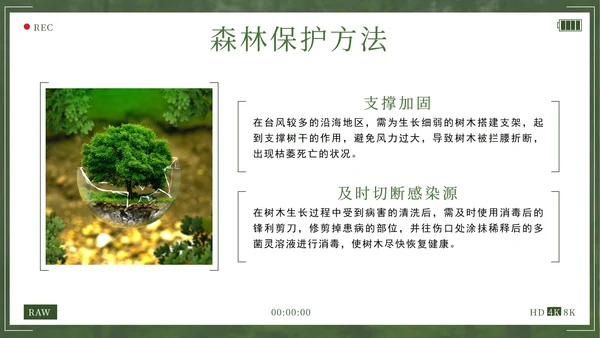 绿色拥抱春天播种希望植树节主题班会带内容PPT模板