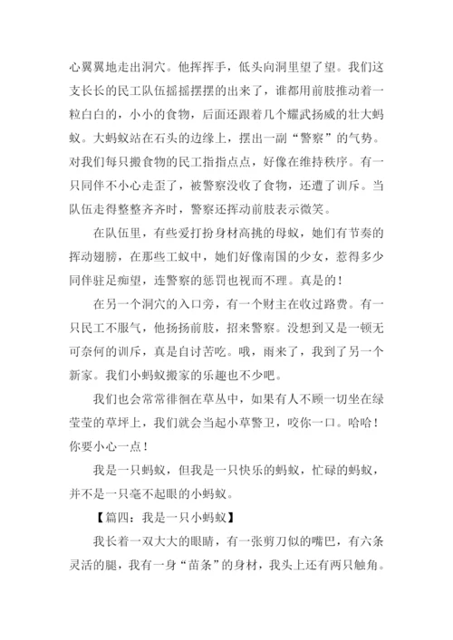 我是一只蚂蚁作文400字.docx