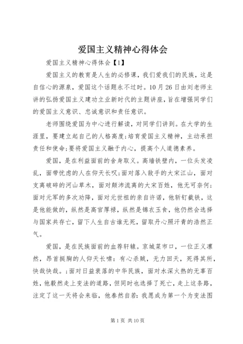 爱国主义精神心得体会.docx