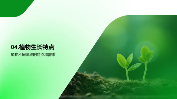 揭秘植物生长