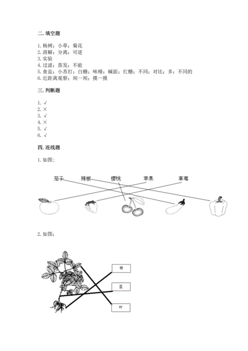 教科版科学一年级上册第一单元《植物》测试卷含完整答案（网校专用）.docx