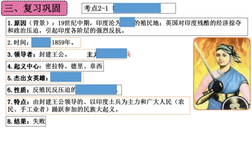 第一单元 殖民地人民的反抗与资本主义制度的扩展（单元复习课件）-2023-2024学年九年级历史下册