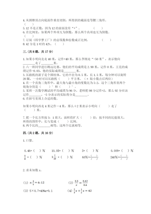 河南省平顶山市六年级下册数学期末测试卷（名师系列）.docx