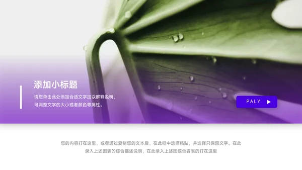 紫色简洁活动执行方案PPT模板