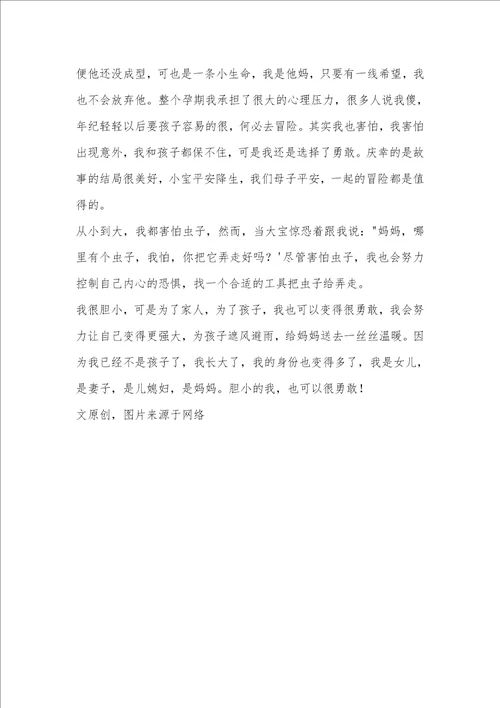 胆小的我，也可以很勇敢 我懂得了什么作文