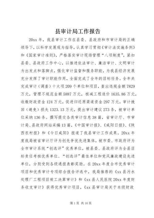 县审计局工作报告 (4).docx