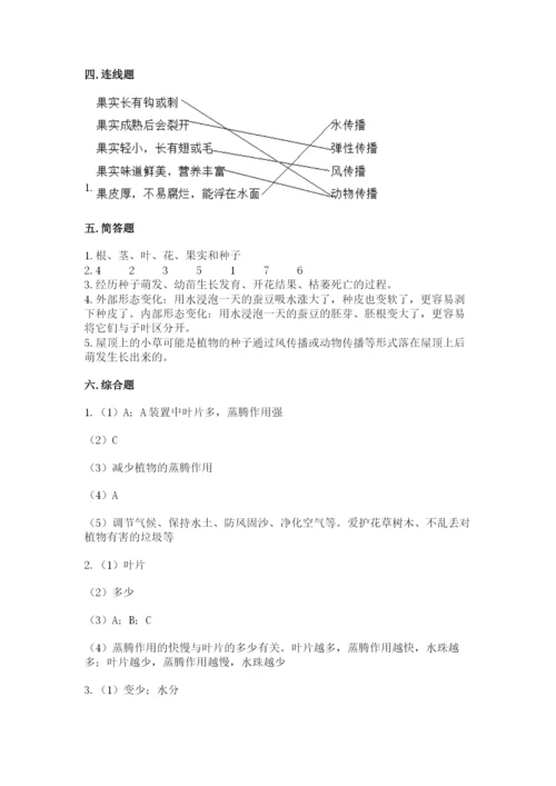 科学四年级下册第一单元《植物的生长变化》测试卷精编.docx