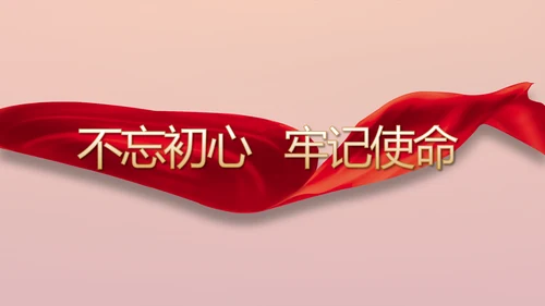 红色党建党支部年年终总结学习教育PPT