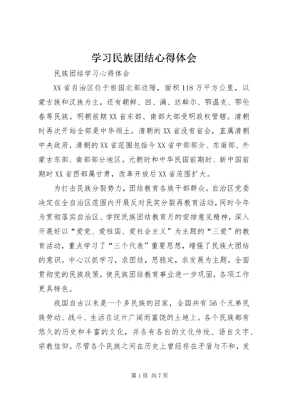 学习民族团结心得体会 (6).docx