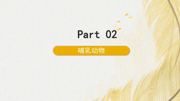 人教版 初中生物七年级上册2.2.2脊椎动物（鸟和哺乳动物）课件(共24张PPT)+ 视频素材