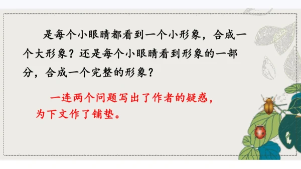 4昆虫备忘录   课件