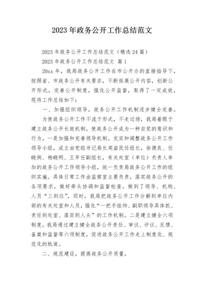 2023年政务公开工作总结范文_1.docx