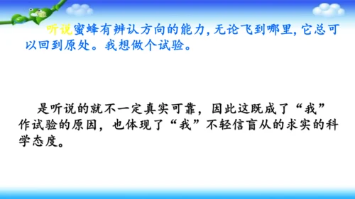 14《蜜蜂》课件