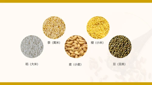 简约卡通节约粮食主题教育班会PPT模板