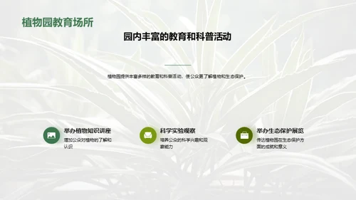 绿色卫士：植物园的力量