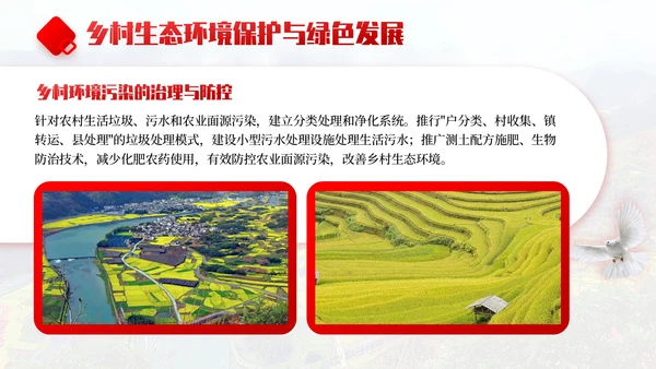 红色商务风乡村振兴战略实施与发展规划PPT模板