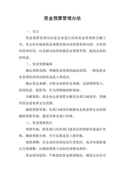 资金预算管理办法