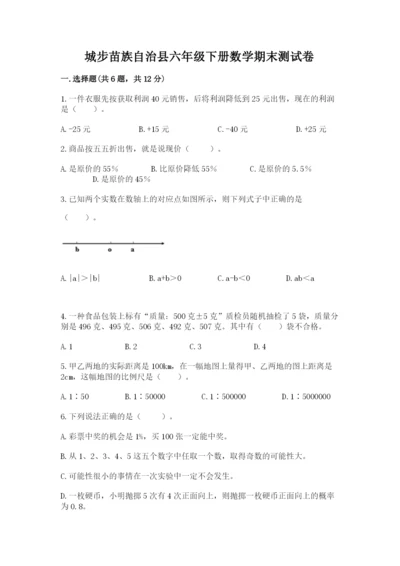 城步苗族自治县六年级下册数学期末测试卷及完整答案一套.docx