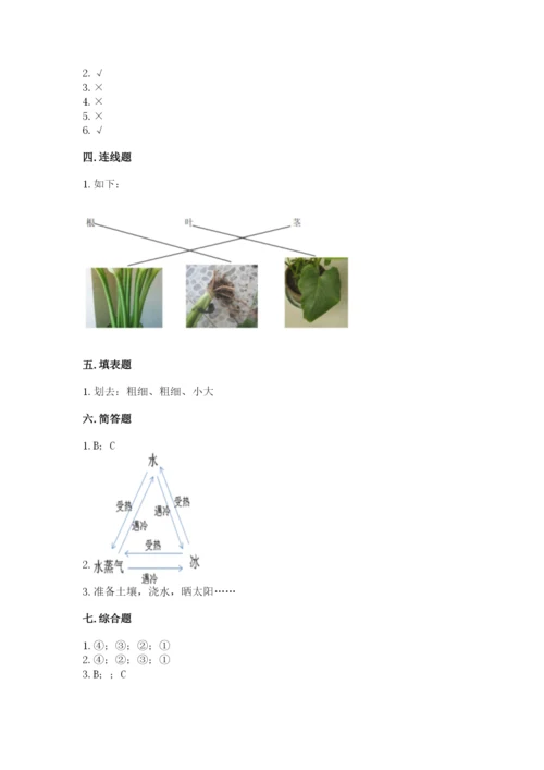 教科版科学一年级上册第一单元《植物》测试卷及1套参考答案.docx