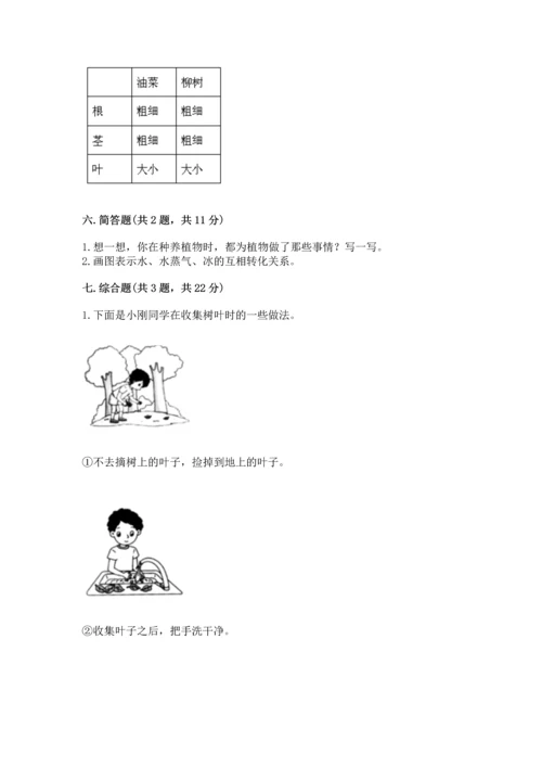 教科版科学一年级上册第一单元《植物》测试卷精品（夺冠系列）.docx