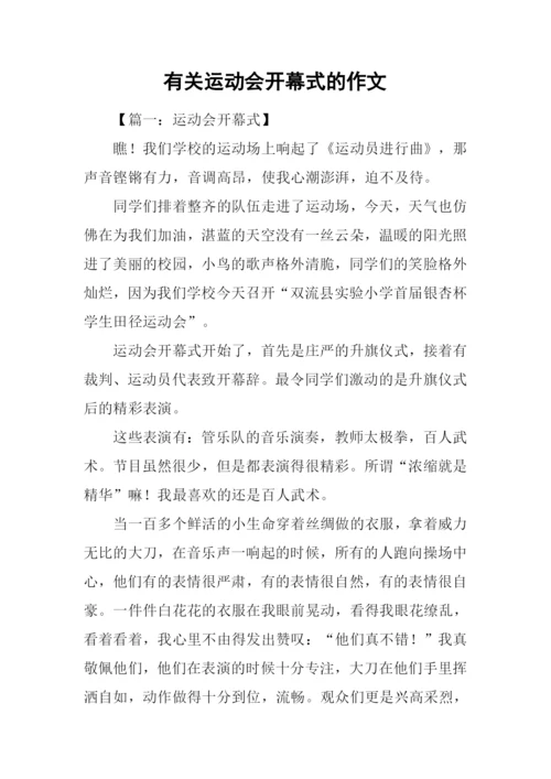 有关运动会开幕式的作文.docx