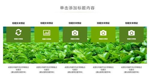 清新绿茶茶文化采茶茶道茶艺茶文化PPT模板