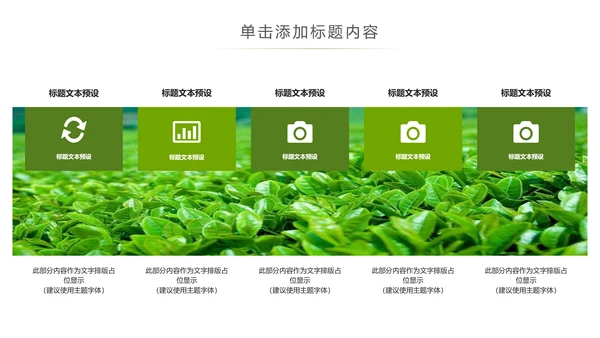 清新绿茶茶文化采茶茶道茶艺茶文化PPT模板