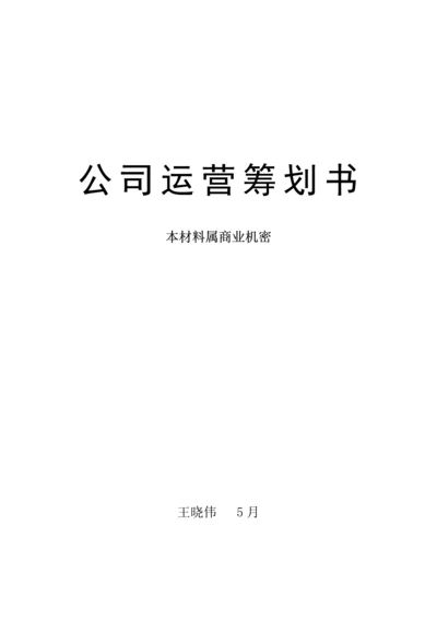 公司运营综合计划书.docx