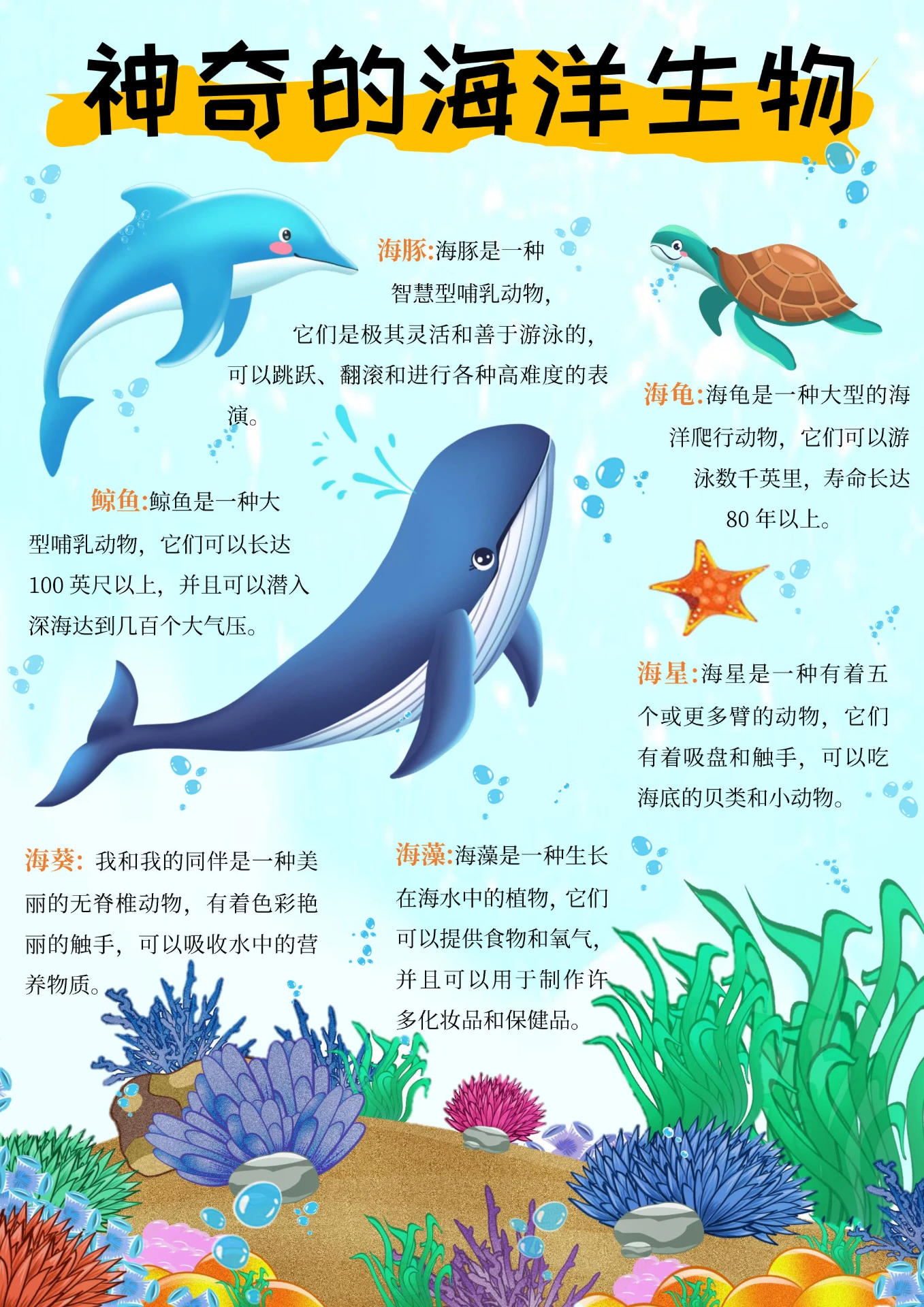 蓝色插画神奇的海洋生物海洋生物图鉴小报手抄报 世界海洋日