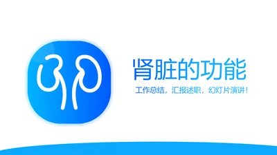 蓝色医疗医学肾脏的功能动态PPT