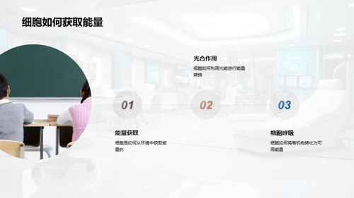 探索细胞之谜