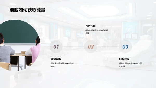 探索细胞之谜