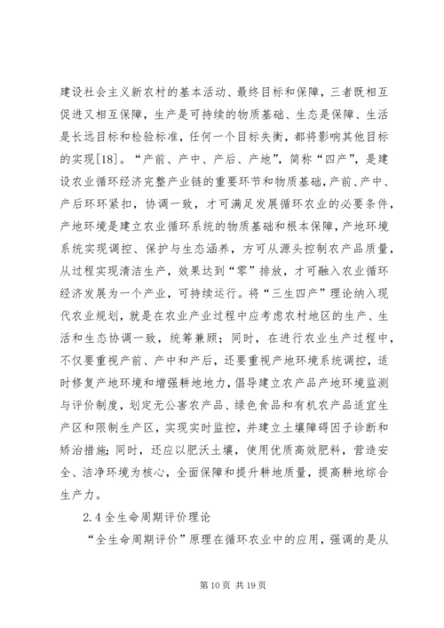 现代化农业规划理论探讨.docx