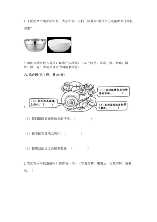 教科版一年级下册科学期末测试卷及答案（精品）.docx