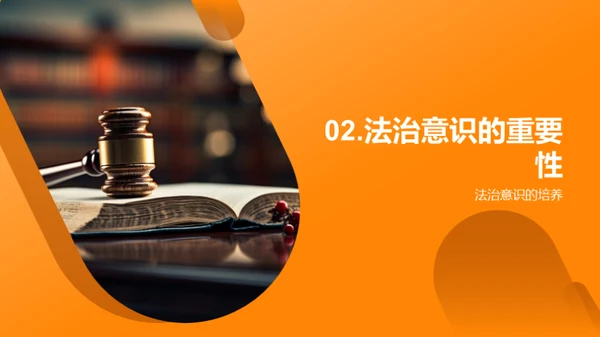 优化高中法治教育路径
