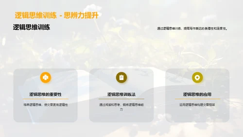 写作的艺术与习惯