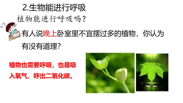 1.1.1生物的特征课件人教版生物七年级上册课件(共29张PPT)