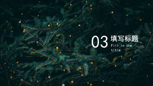 圣诞节活动策划模板