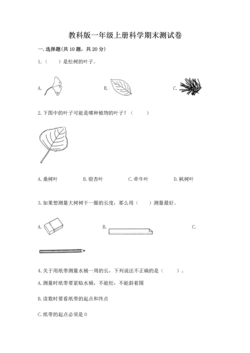 教科版一年级上册科学期末测试卷带答案（b卷）.docx