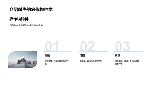 大暑农业应对策略