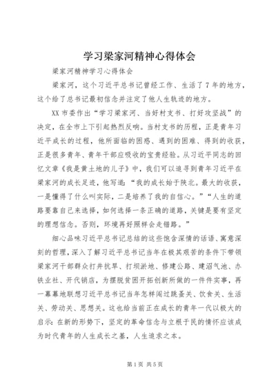 学习梁家河精神心得体会 (2).docx