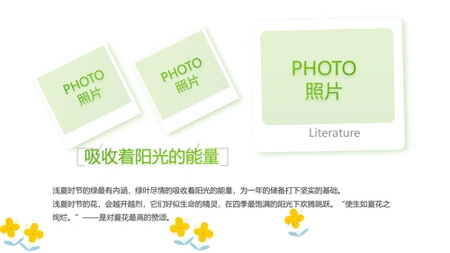 绿色小清新夏日清凉旅游电子相册PPT