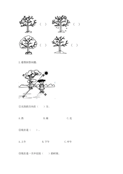 教科版二年级上册科学期末测试卷及下载答案.docx