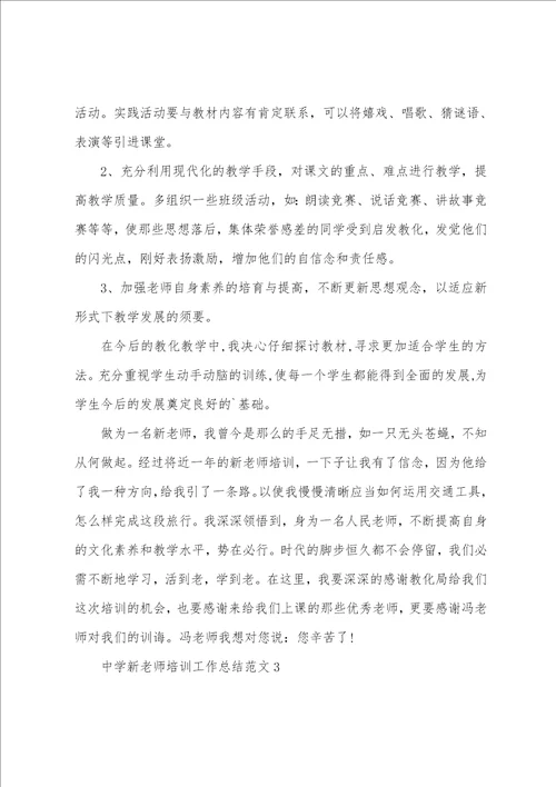 高中新教师培训工作总结范文5篇