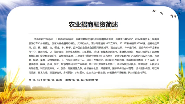 农业项目招商融资报告通用PPT模板