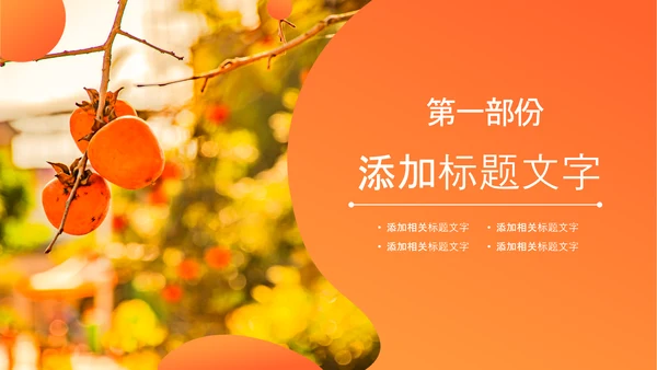 推动乡村振兴乡村新农村建设乡村旅游ppt