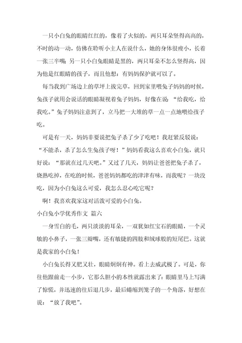 小白兔小学优秀作文7篇