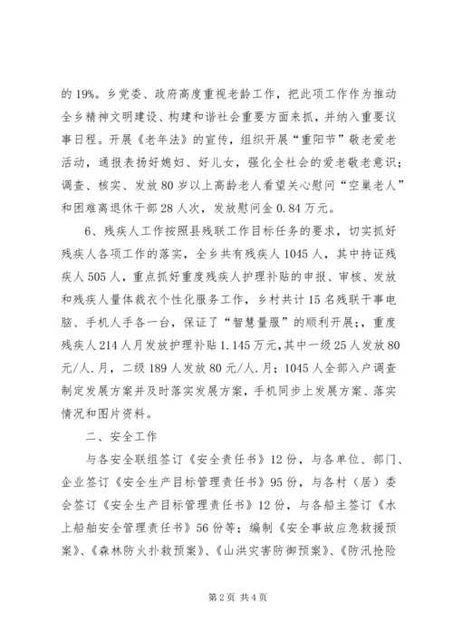 乡镇社会事务办年度工作总结.docx