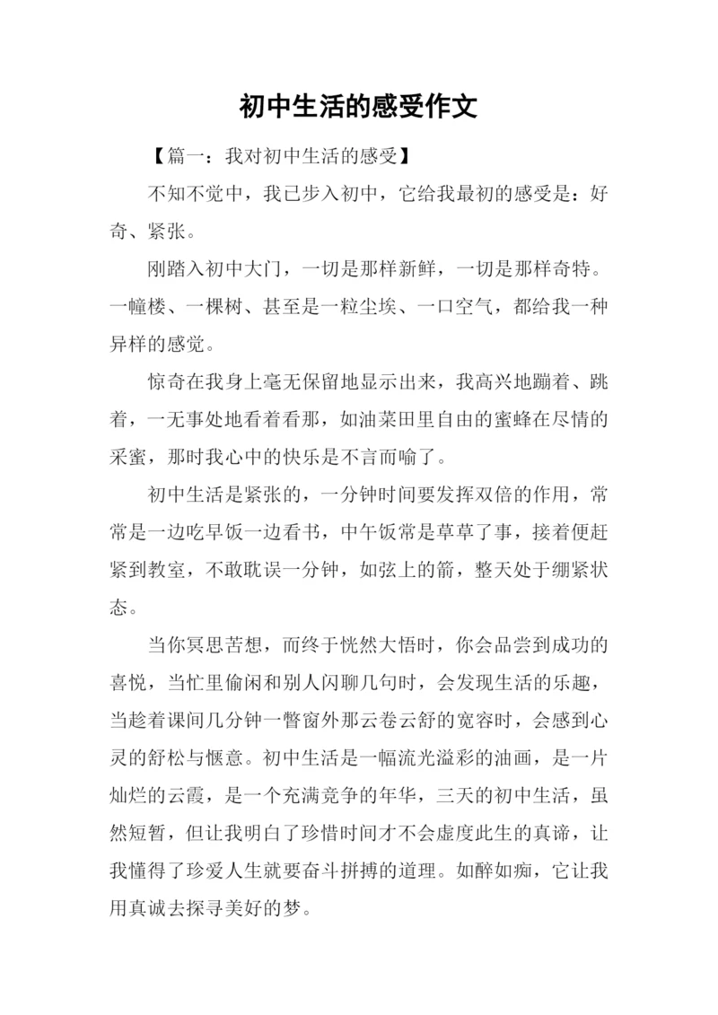 初中生活的感受作文.docx