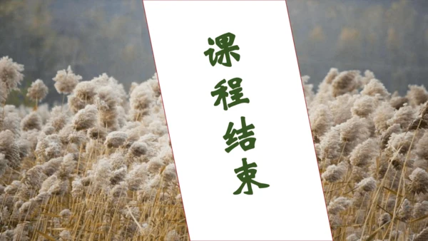 【核心素养】部编版语文四年级下册-21.芦花鞋（课件）